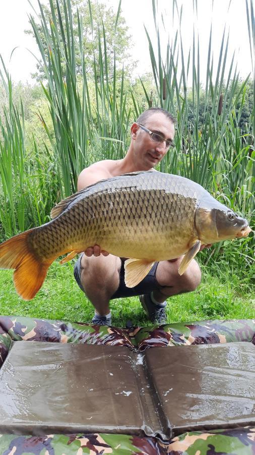 Les Etangs Du Moulin D'Harcy Hotel Lonny Eksteriør billede